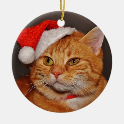 Orange Tabby Christmas Cat Ceramic Ornament