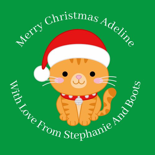 Orange Tabby Christmas Cat On Green Wrapping Paper