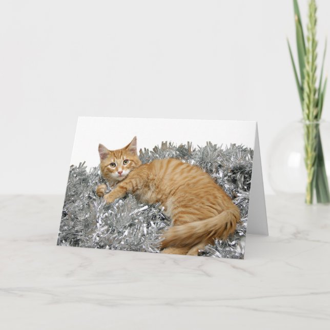 Orange tabby Christmas Holiday Card (Front)