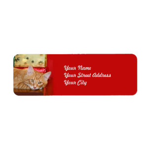 Orange tabby Christmas Label