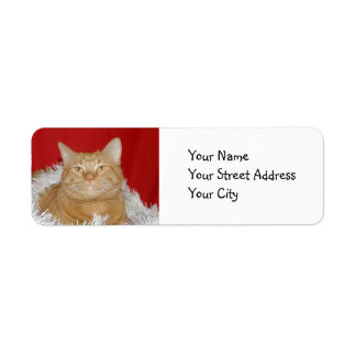 Orange tabby Christmas Label