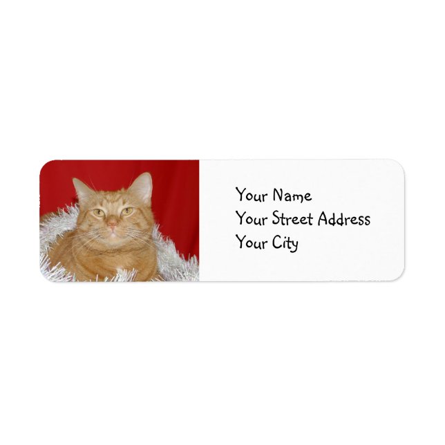 Orange tabby Christmas Label (Front)