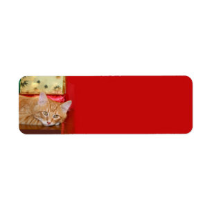 Orange tabby Christmas Label