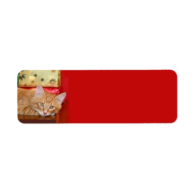 Orange tabby Christmas Label (Front)