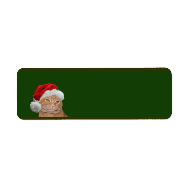 Orange tabby Christmas Label (Front)