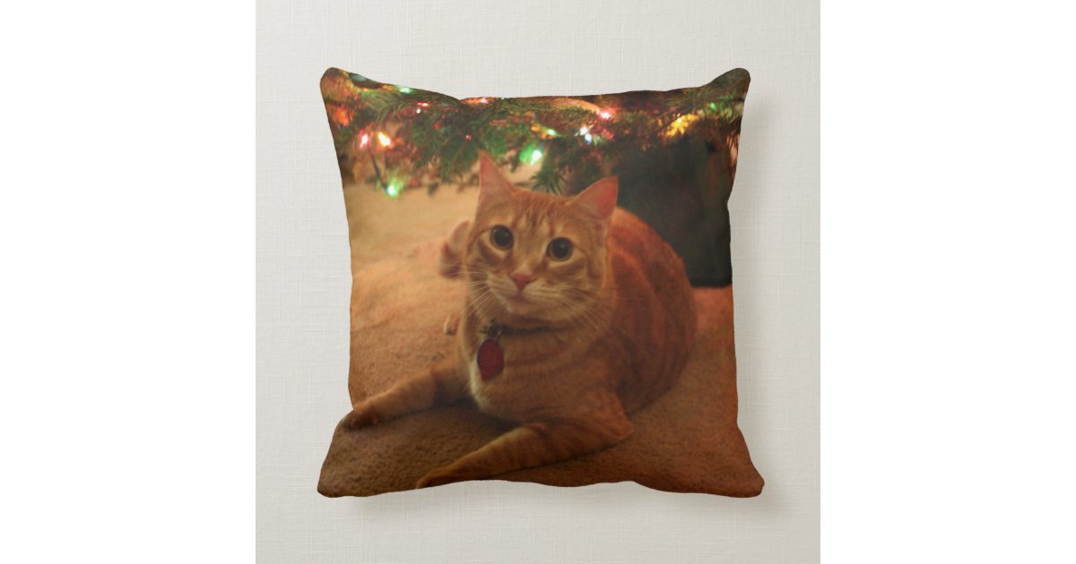 pillow tabby orange