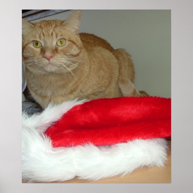Orange Tabby Christmas Poster (Front)