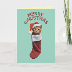 Orange Tabby Christmas Stocking Card
