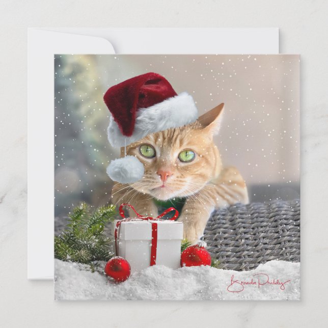 Orange Tabby FLAT 5.25-inch Christmas Card (Front)