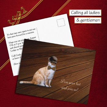 Orange Tabby Gentleman Cat Goes To Reunion Postcard by colorwash at Zazzle