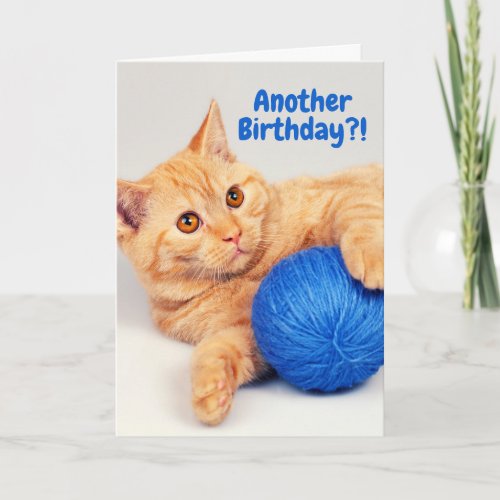 Orange Tabby Have a Ball of yarn Birthday Card