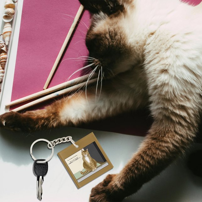 Orange Tabby Homeowner Funny Cat Keychain (Creator Uploaded)