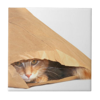 Orange tabby in bag ceramic tile