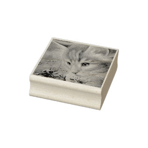 Orange Tabby Kitten & Bumblebee Watercolor Art Rubber Stamp