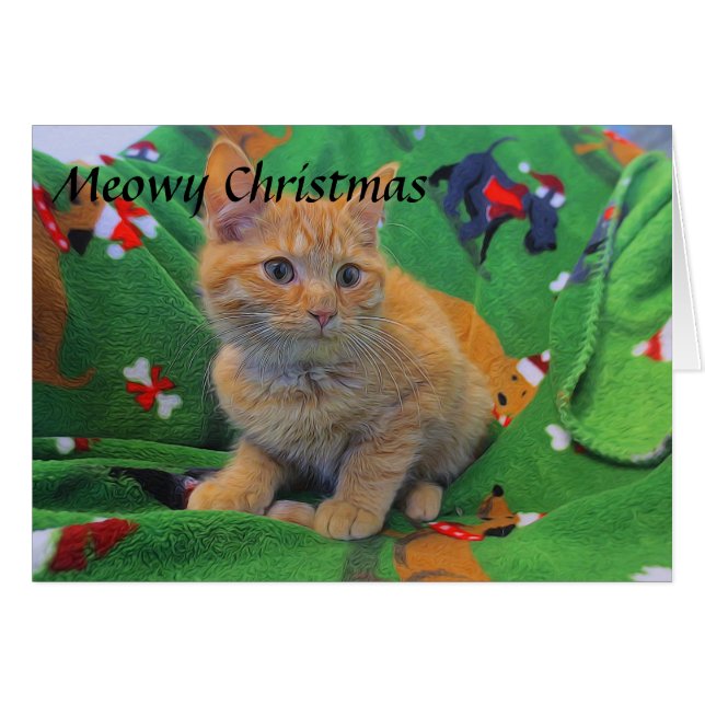 Orange Tabby Kitten Cards (Front Horizontal)