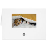 Orange Tabby Kitten in Bed Cards (Back Horizontal)
