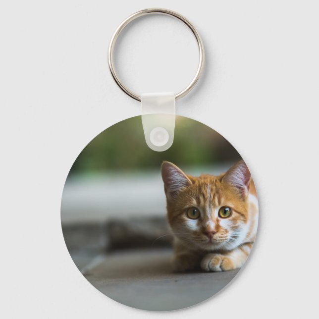 Orange tabby kitten. keychain (Front)