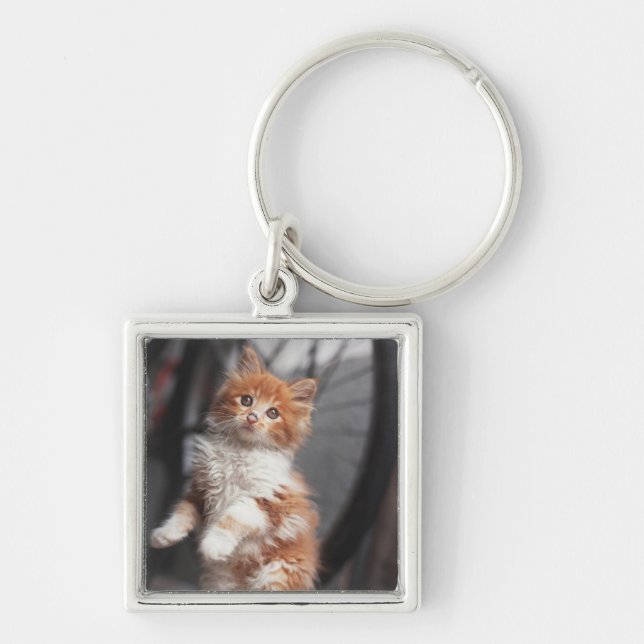 Orange Tabby Kitten Keychain (Front)