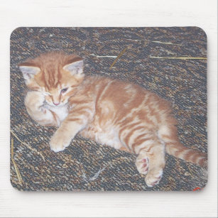 Orange Tabby Kitten Mouse Pad