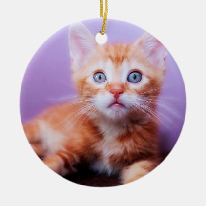 ORANGE TABBY KITTEN ORNAMENT