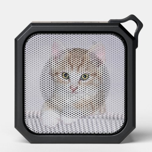 Orange Tabby Kitten Painting _ Original Cat Art Bluetooth Speaker