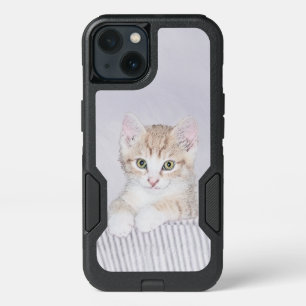 Orange Tabby Kitten Painting - Original Cat Art iPhone 13 Case