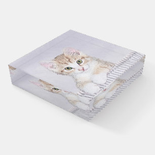 Orange Tabby Kitten Painting - Original Cat Art Paperweight