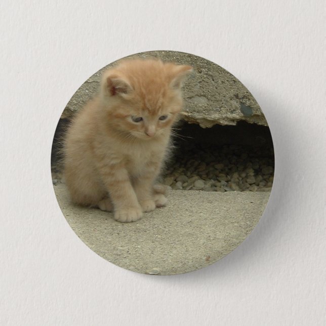 Orange Tabby Kitten Pinback Button (Front)