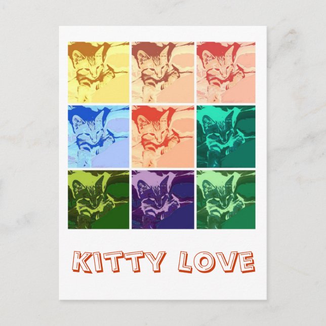 Orange Tabby Kitten Postcard (Front)