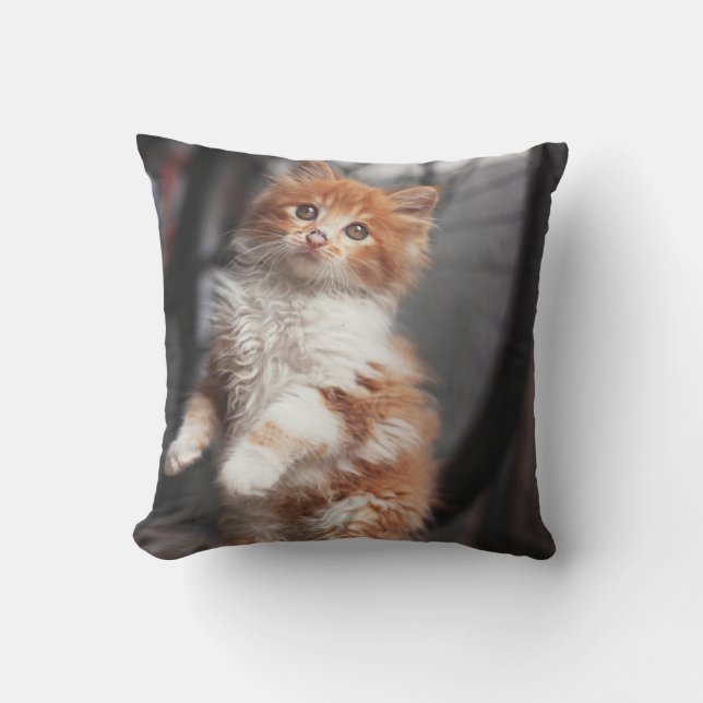 Orange Tabby Kitten Throw Pillow (Front)