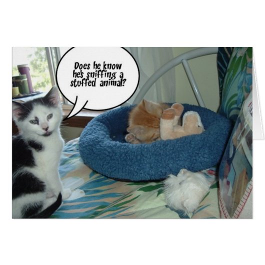 Orange Tabby Kitty Cat Cards (Front Horizontal)