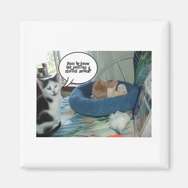 Orange Tabby Kitty Cat Magnet (Front)