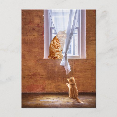 Orange tabby kitty cats postcard