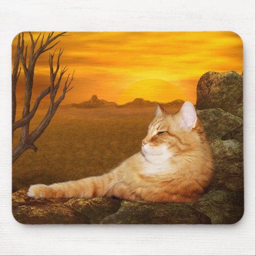 Orange tabby lazes in the sun mouse pad