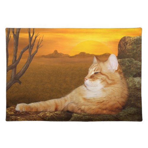 Orange tabby lazes in the sun placemat