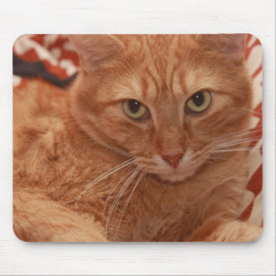 Orange Tabby Mouse Pad