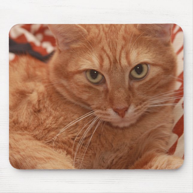 Orange Tabby Mouse Pad (Front)