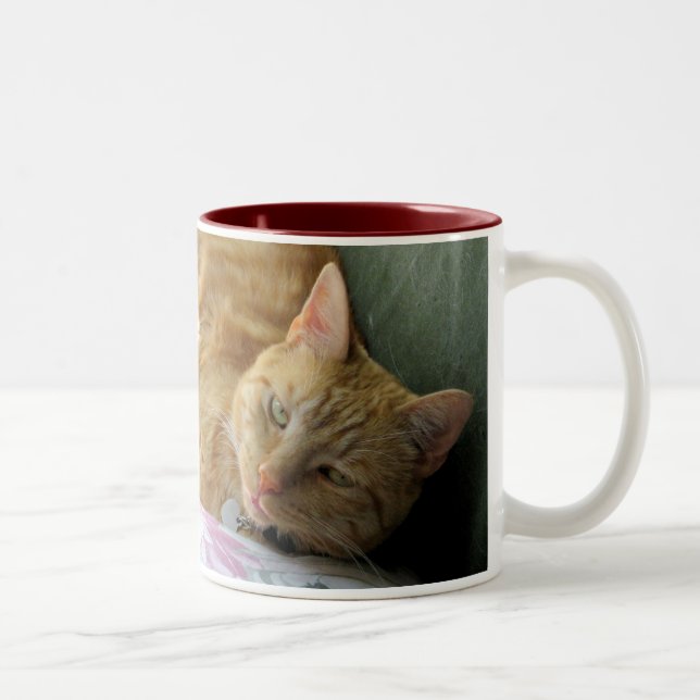 Orange Tabby mug with verse (Right)