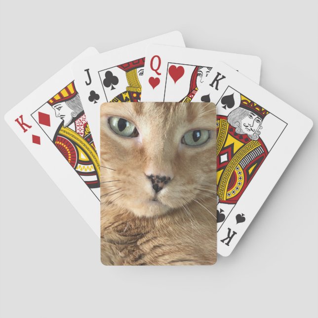 Orange Tabby Playing Cards (Back)