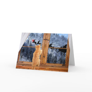 Orange tabby red dot Christmas Holiday Card