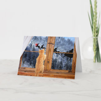 Orange tabby red dot Christmas Holiday Card