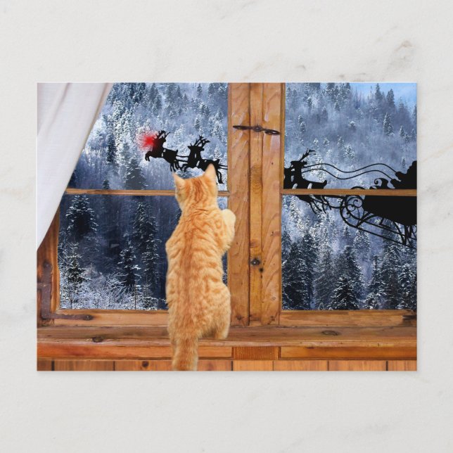 Orange tabby red dot Christmas Holiday Postcard (Front)