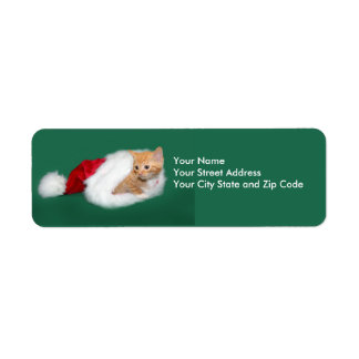 Orange tabby Santa hat Label