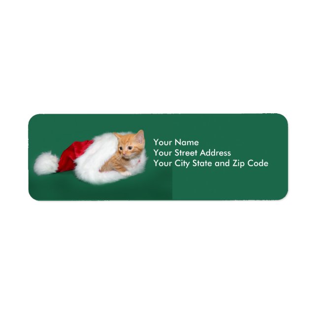 Orange tabby Santa hat Label (Front)