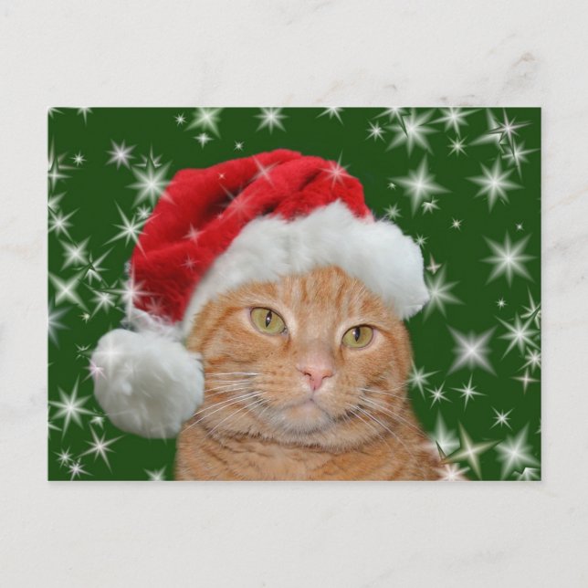 Orange tabby Santa Holiday Postcard (Front)