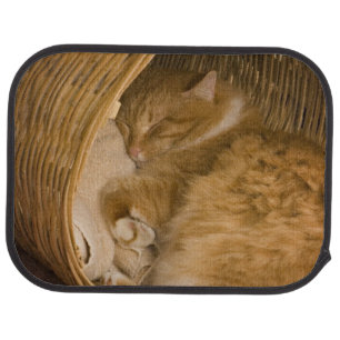 Orange tabby sleeping in hamper car floor mat
