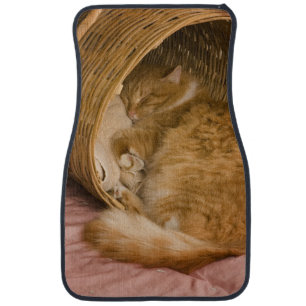 Orange tabby sleeping in hamper car mat