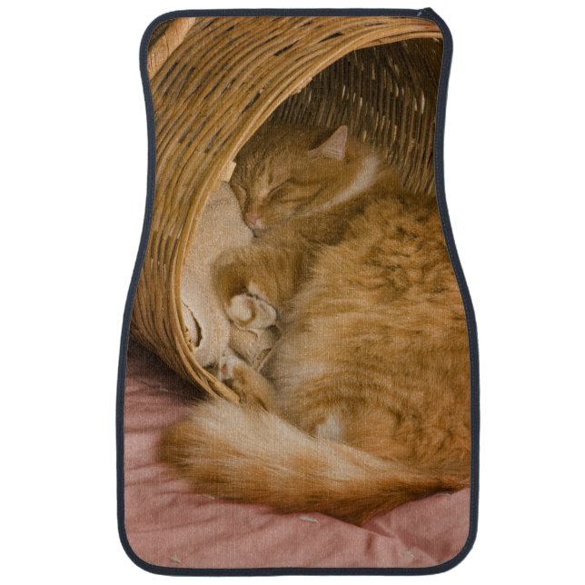 Orange tabby sleeping in hamper car mat (Front)