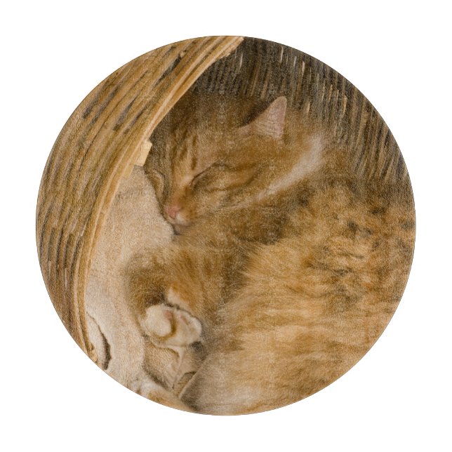 Orange tabby sleeping in hamper cutting board (Front)