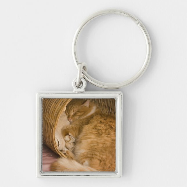 Orange tabby sleeping in hamper keychain (Front)